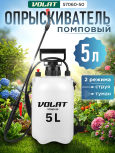 Жолудева Илона