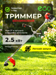 Иванов П