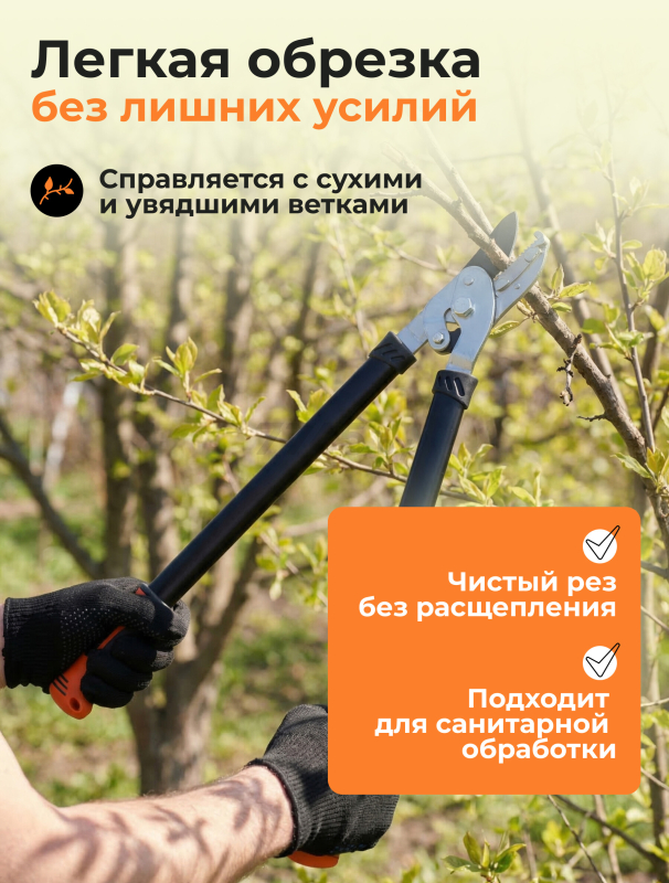 Сучкорез STARTUL Garden (ST6096-04) - Фото 2