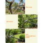 Сучкорез STARTUL Garden (ST6096-03) - Фото 6