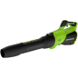 Воздуходувка аккумуляторная GREENWORKS 40V GD40BG3 (2408207)