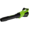 Воздуходувка аккумуляторная GREENWORKS 40V GD40BG3 (2408207)