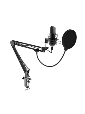 Микрофон RITMIX RDM-169 Black