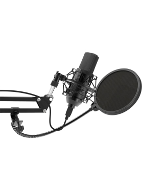 Микрофон RITMIX RDM-169 Black