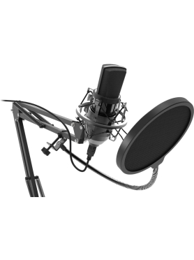 Микрофон RITMIX RDM-169 Black