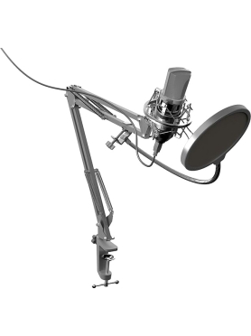 Микрофон RITMIX RDM-169 Black