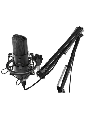 Микрофон RITMIX RDM-169 Black