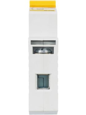 Автоматический выключатель IEK ВА47-29 1Р 25А С 4,5кА 