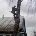 ИП Шакаль Алексей Михайлович